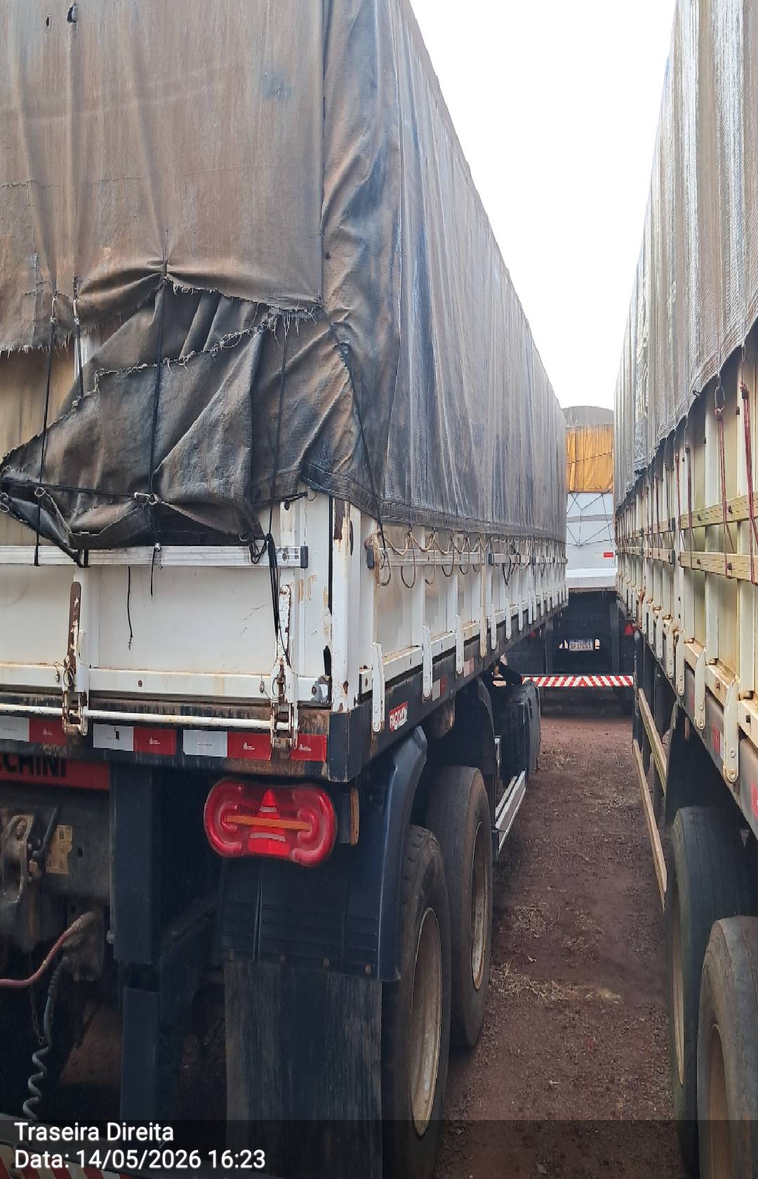FACCHINI RODOTREM GRANELEIRO - foto 6